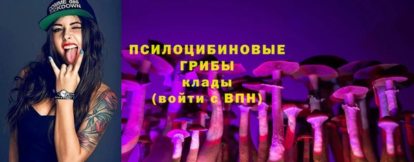 бутират Алексеевка