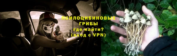 каннабис Приозерск